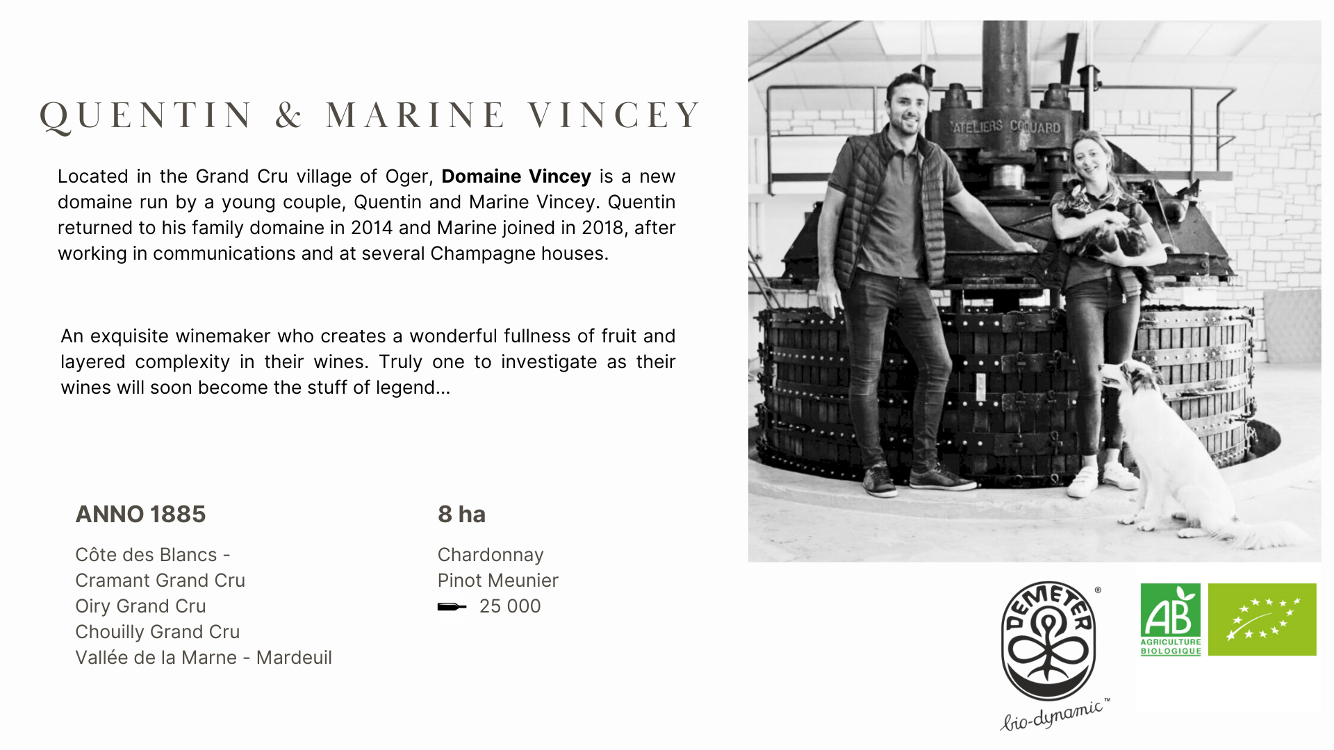 CHAMPAGNE 2025-2 (15)