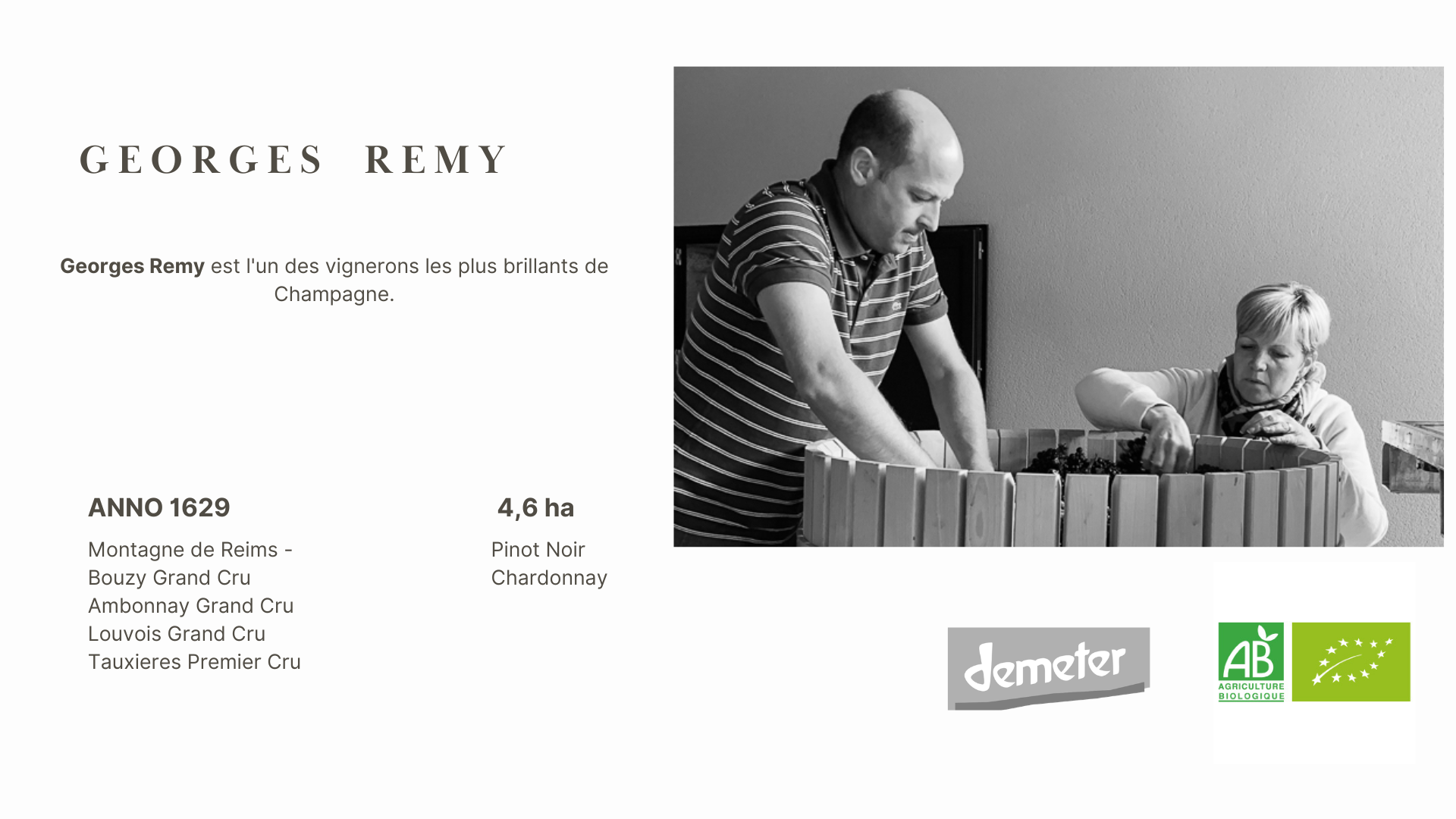 CHAMPAGNE 2025-2 (19)