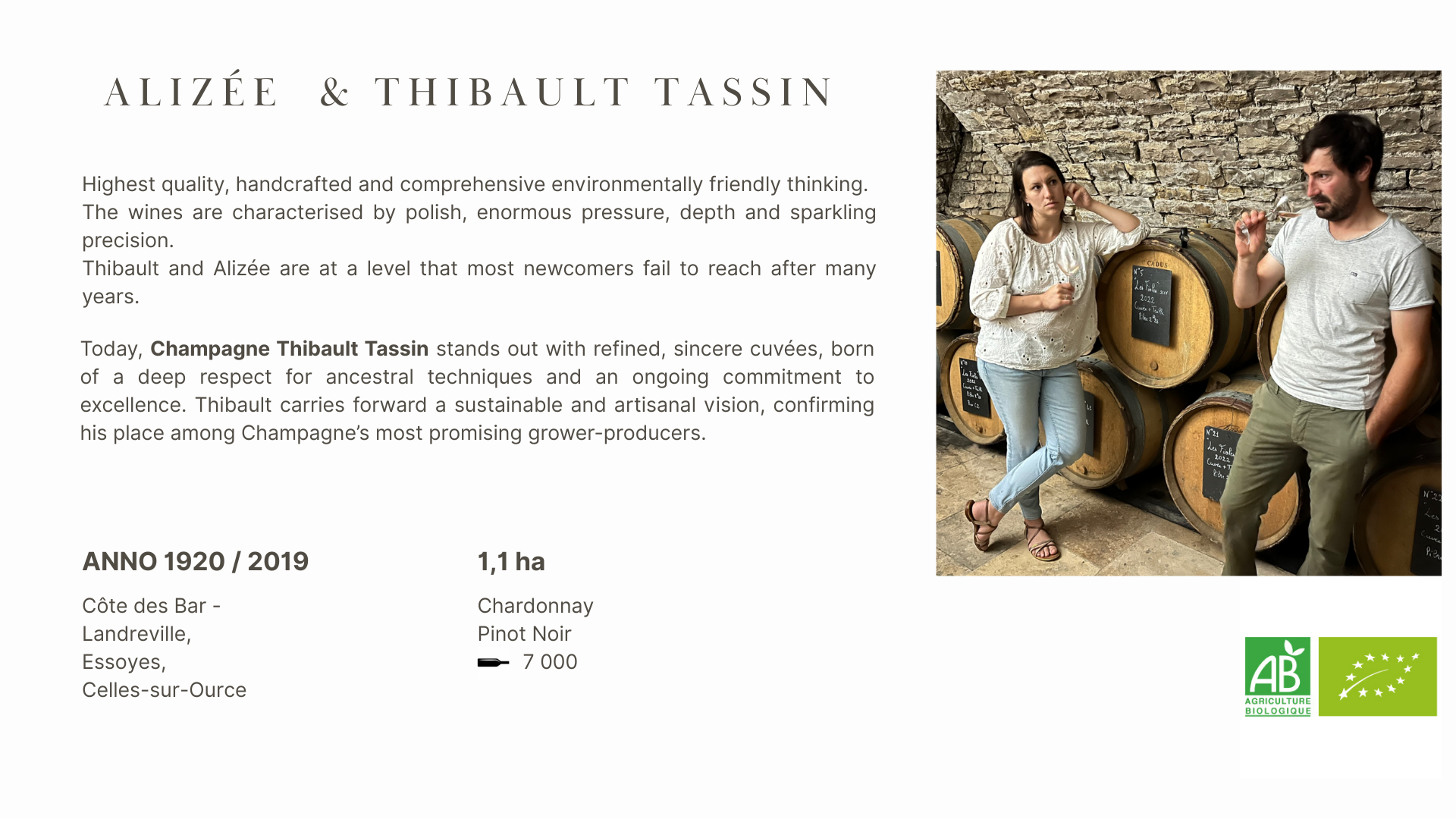 CHAMPAGNE 2025-2 (6)